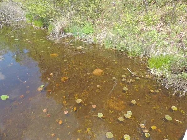 $749,900 | 16781 Forest Hill Drive, Townsend, WI 54175