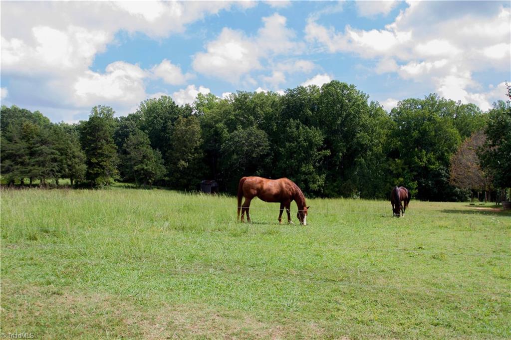 408 Allen Road Mocksville, NC 27028 - Photo 4 of 30 ~ This is peace and serenity at its finest ~
