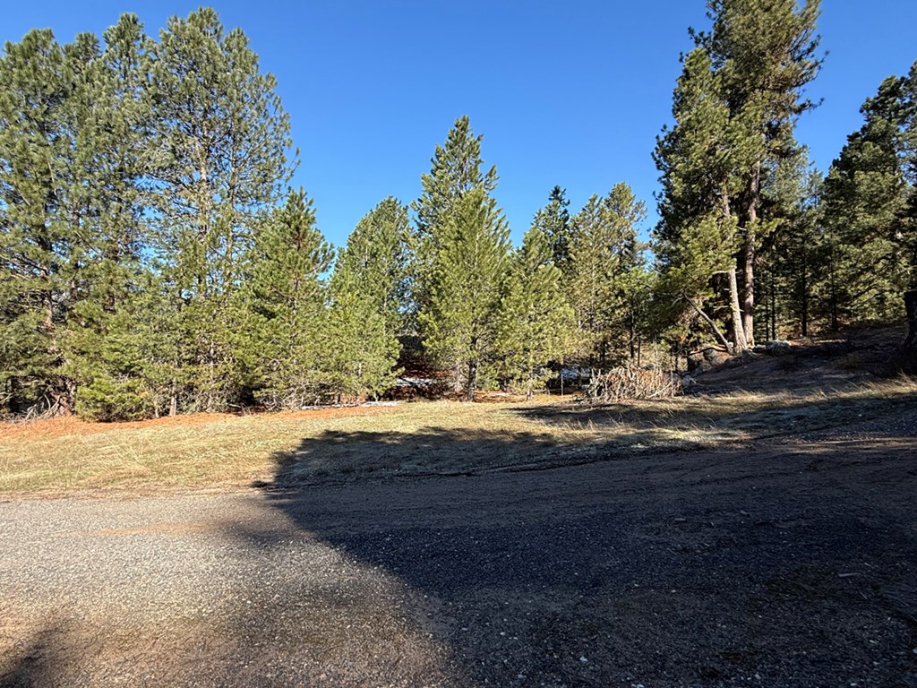 Pt Lot 7 Packer John Road, Unit 7 Cascade, ID 83611 - Photo 12 of 16 Plenty of Space for RV Shop or Toy Storage