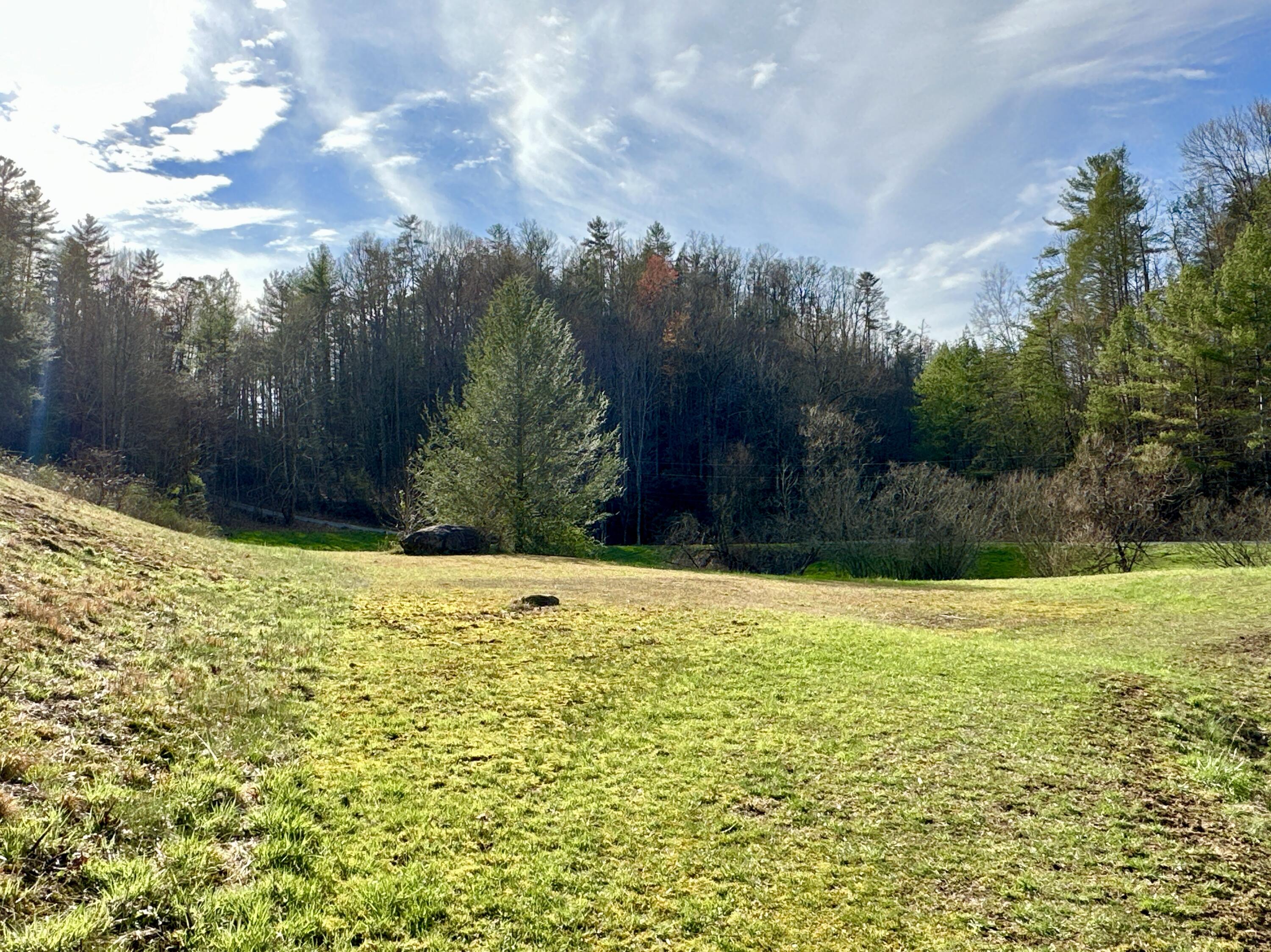Lot No Raven Branch Road, Unit 7 Del Rio, TN 37727 - Photo 1 of 15 IMG_001