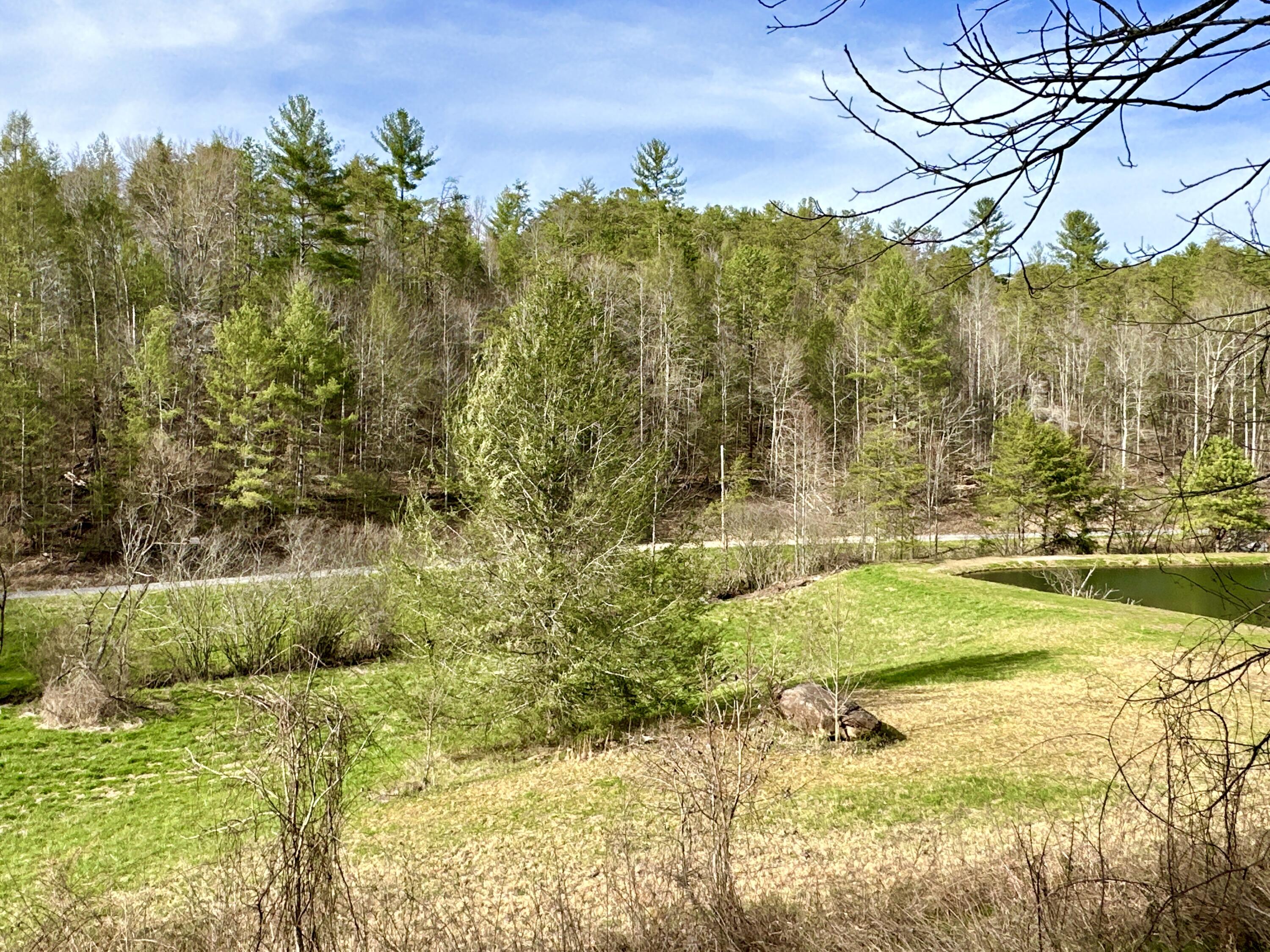 Lot No Raven Branch Road, Unit 7 Del Rio, TN 37727 - Photo 6 of 15 IMG_004