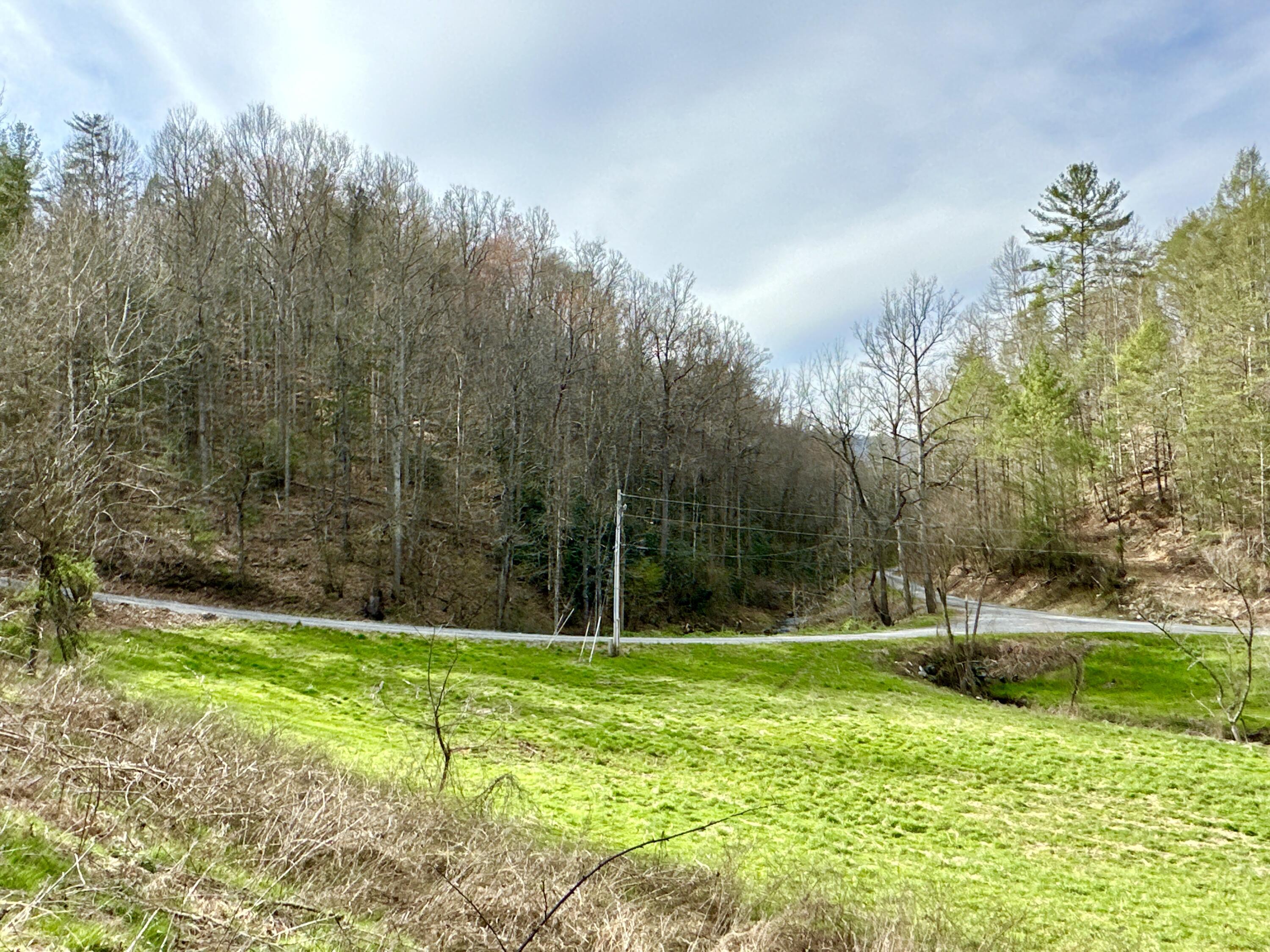 Lot No Raven Branch Road, Unit 7 Del Rio, TN 37727 - Photo 10 of 15 IMG_006