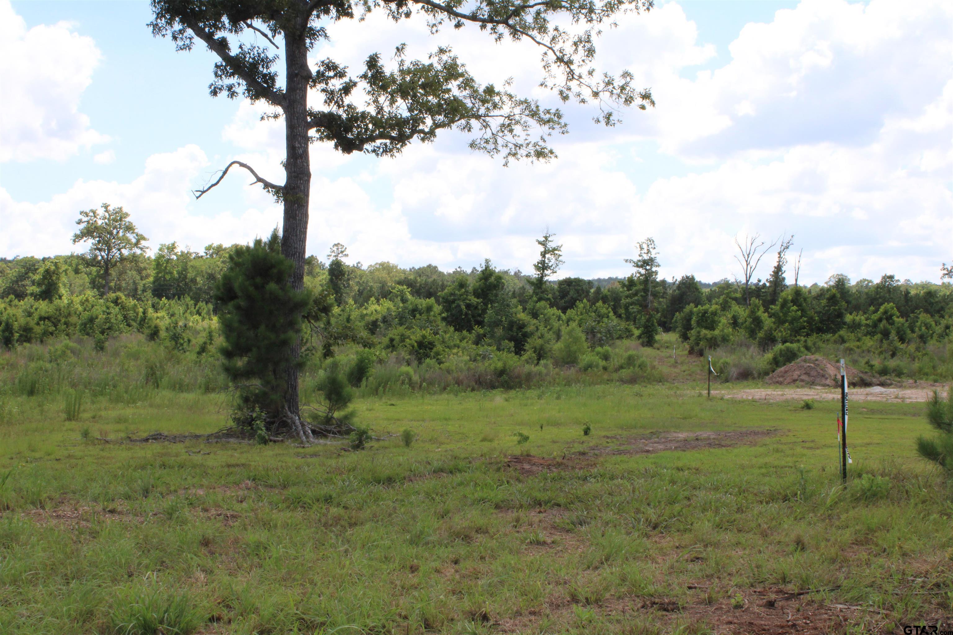 1110 - Tract 4 Rusk Tx 75785 Rusk, TX 75785 - Photo 6 of 13