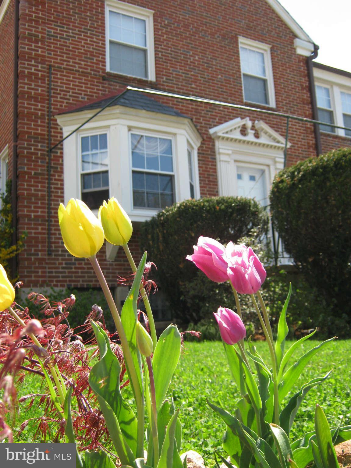 425 Lambeth Road Baltimore, MD 21228 - Photo 11 of 12 a flower garden view