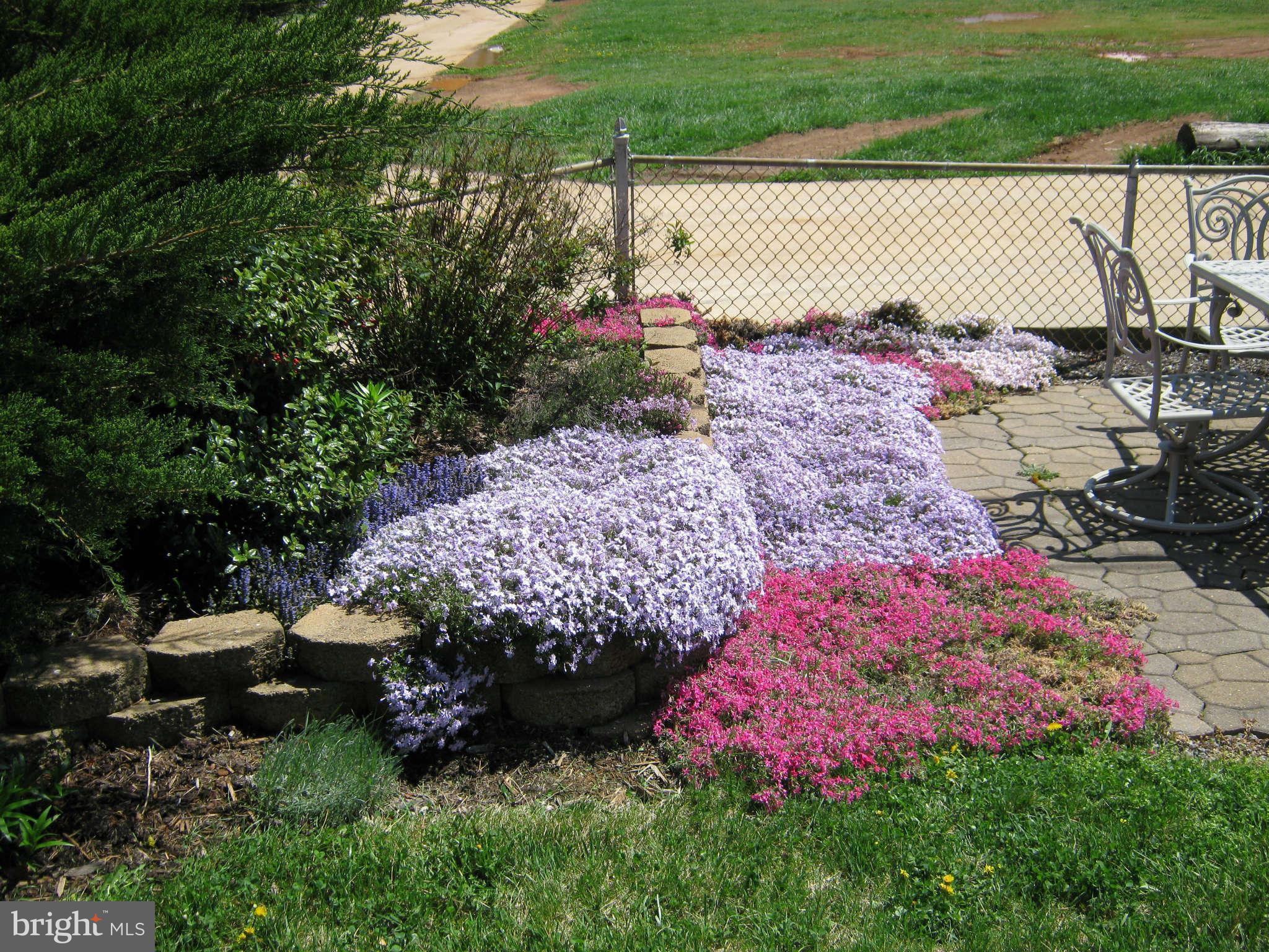 425 Lambeth Road Baltimore, MD 21228 - Photo 10 of 12 a view of a backyard