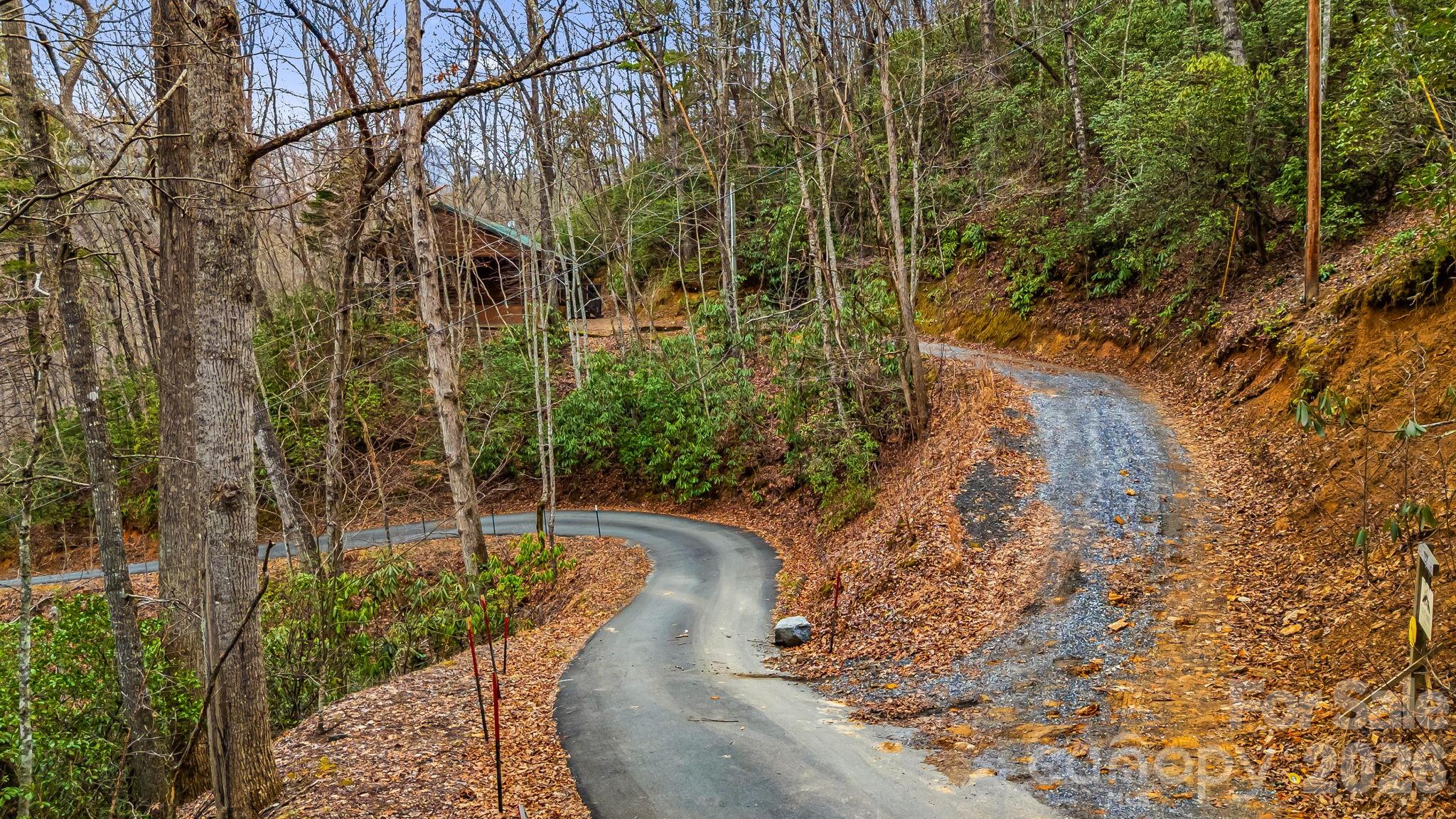 157 Crosspatch Lane Bryson City, NC 28713 - Photo 7 of 38 a view of a yard with plants and large trees
