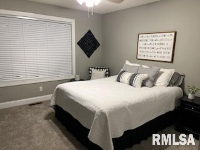 2204 Checkerberry Lane Springfield, IL 62711 - Photo 21 of 27