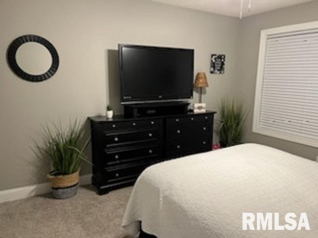 2204 Checkerberry Lane Springfield, IL 62711 - Photo 22 of 27
