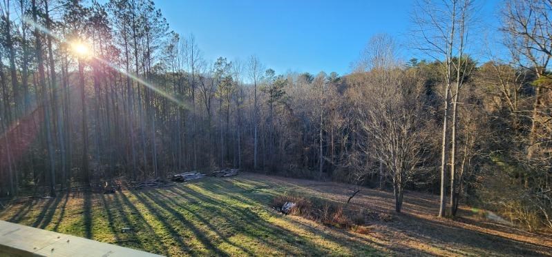 192 Mill Pond Court Jasper, GA 30143 - Photo 27 of 29 a view of outdoor space and yard