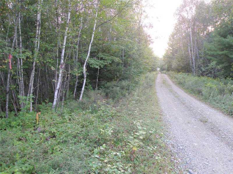 0 New Stream Road Wesley, ME 04686 - Photo 10 of 12 Other. Looking west along the...