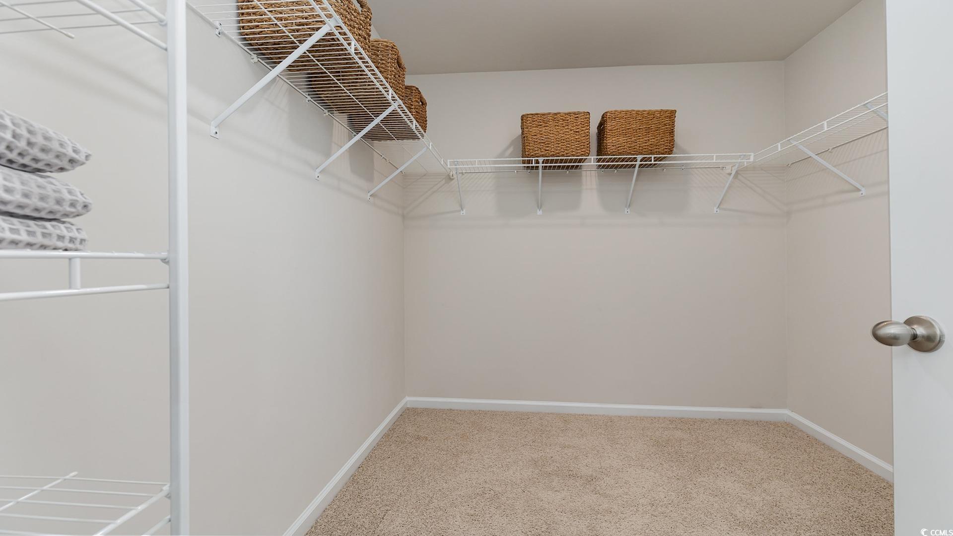 850 Farmers Passage Loop Loris, SC 29569 - Photo 18 of 28 Spacious closet with carpet flooring