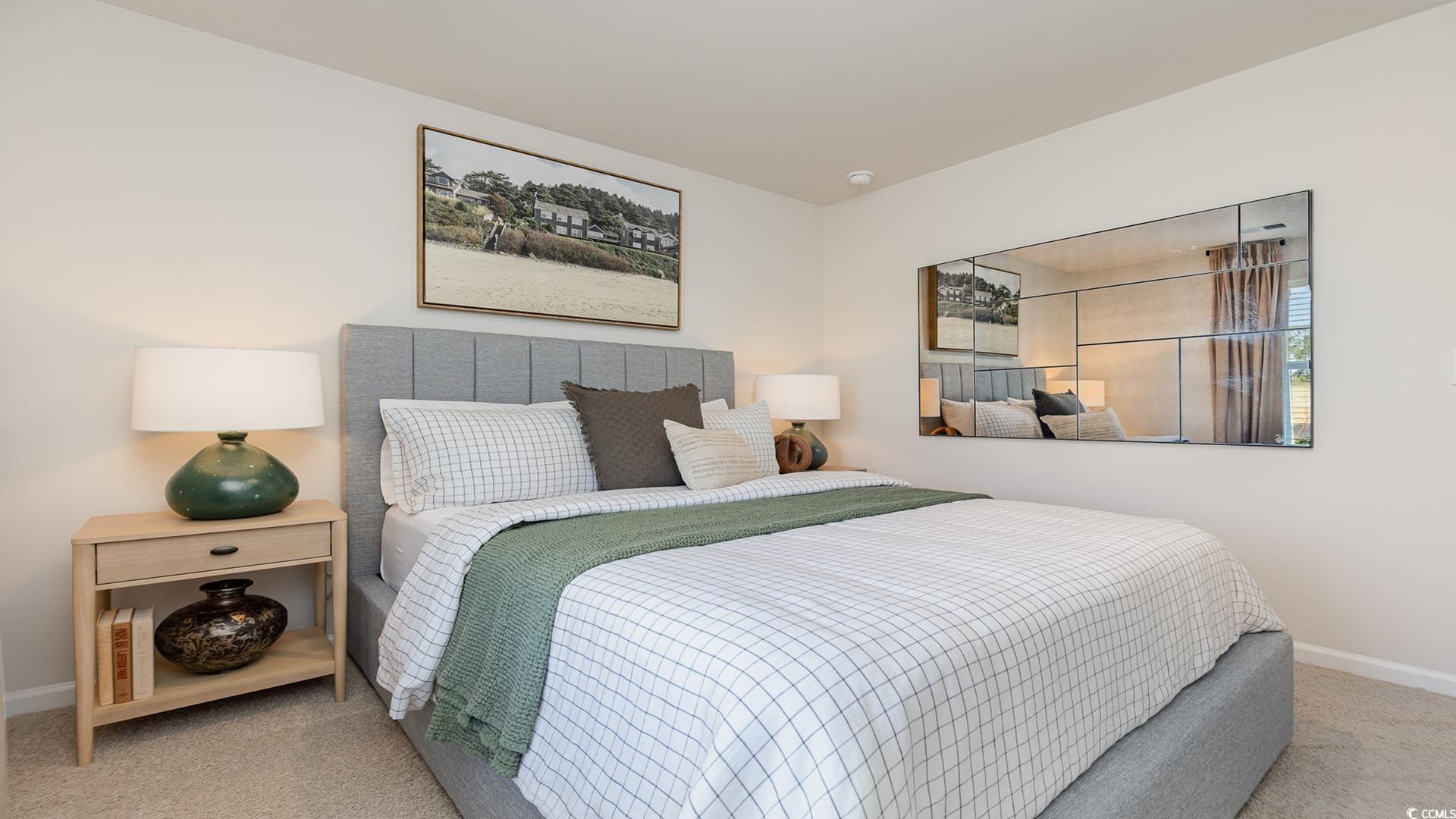 850 Farmers Passage Loop Loris, SC 29569 - Photo 20 of 28 Carpeted bedroom with baseboards