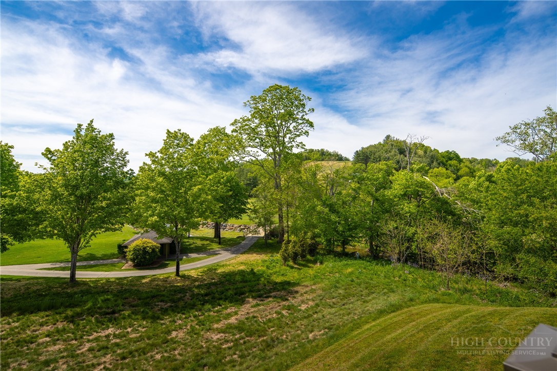 147 Riverside Park Court, Unit G2 Jefferson, NC 28640 - Photo 19 of 44 a big yard with lots of green space and trees
