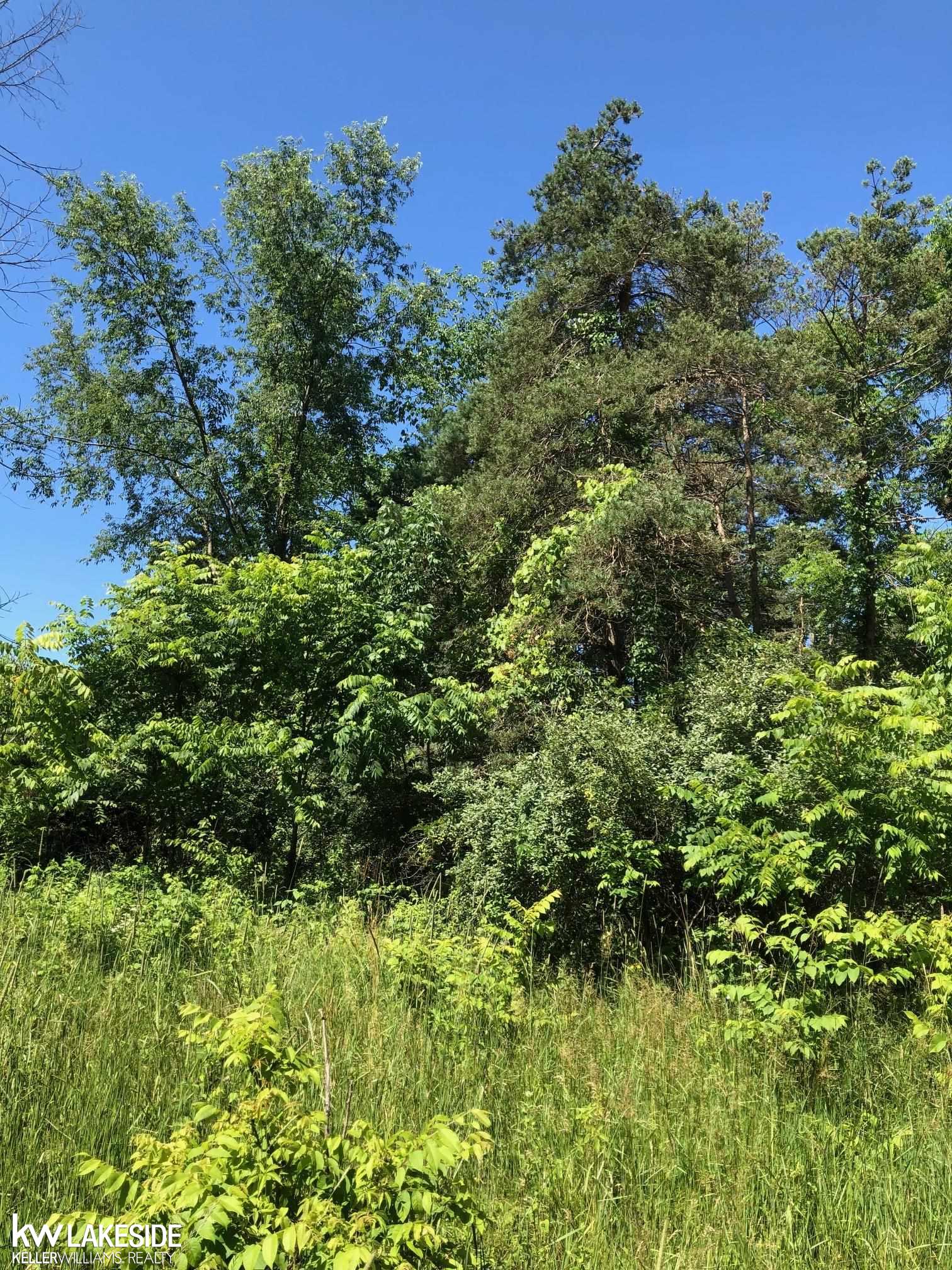 31 31 Mile Road Washington, MI 48095 - Photo 4 of 11
