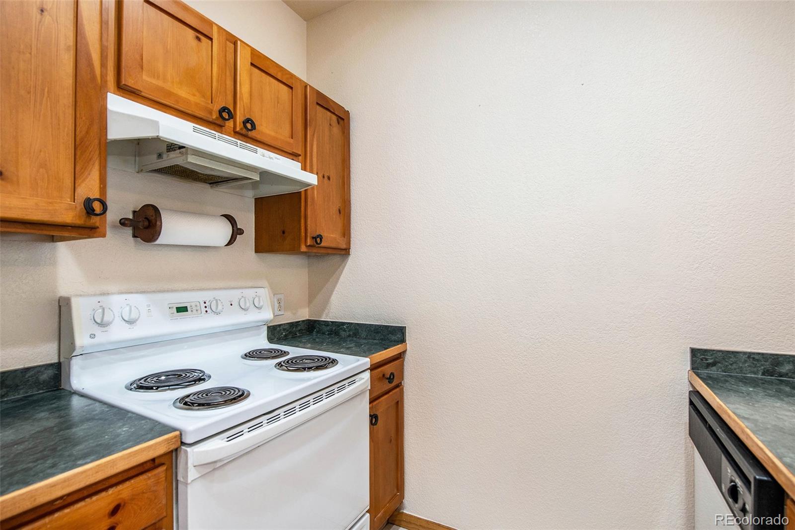 5077 Camel Heights Road, Unit I Evergreen, CO 80439 - Photo 8 of 24 Gallery Image 8