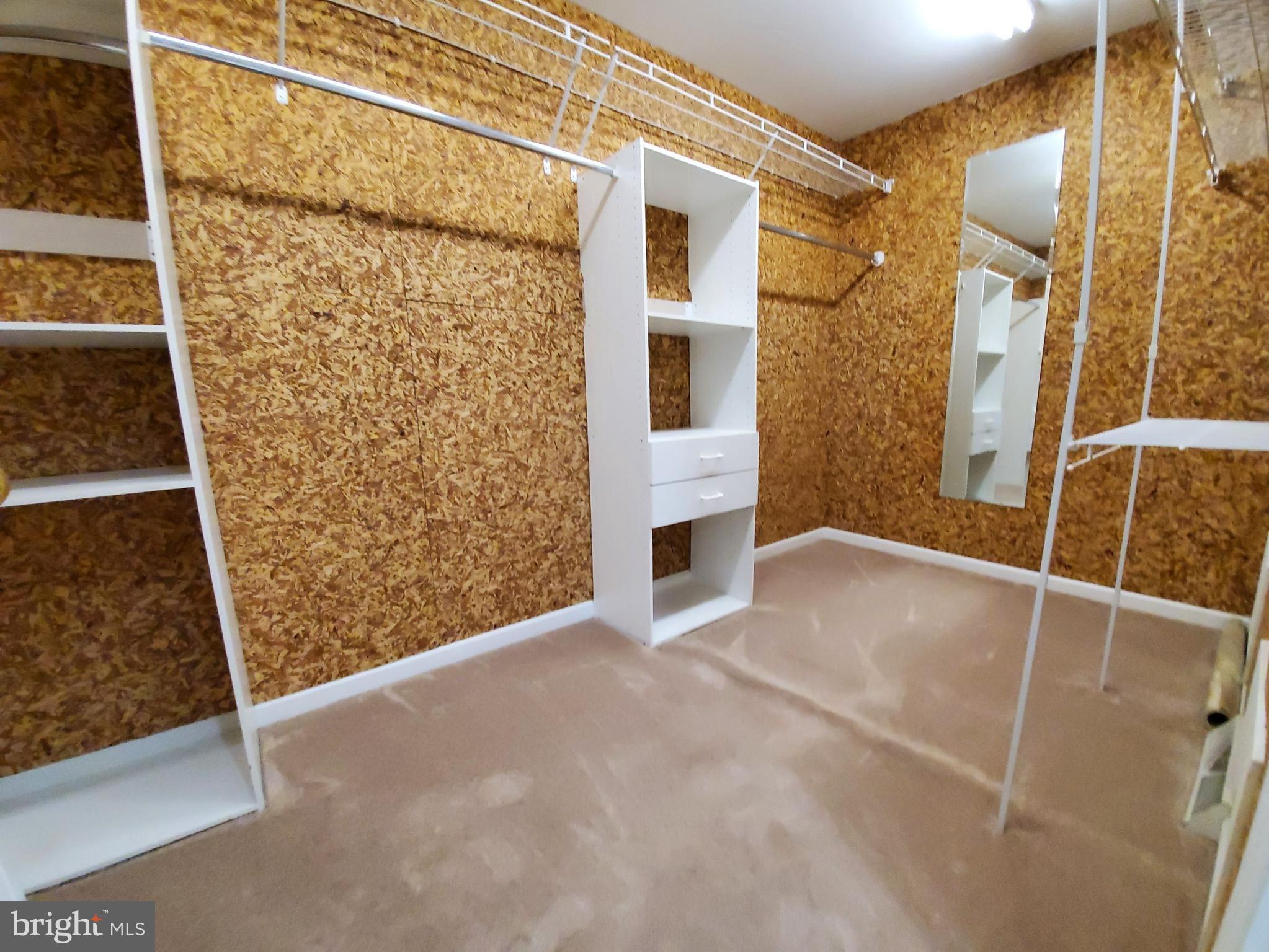 750 Junction Road Manheim, PA 17545 - Photo 36 of 63 Walk-in Closet in Bath #1