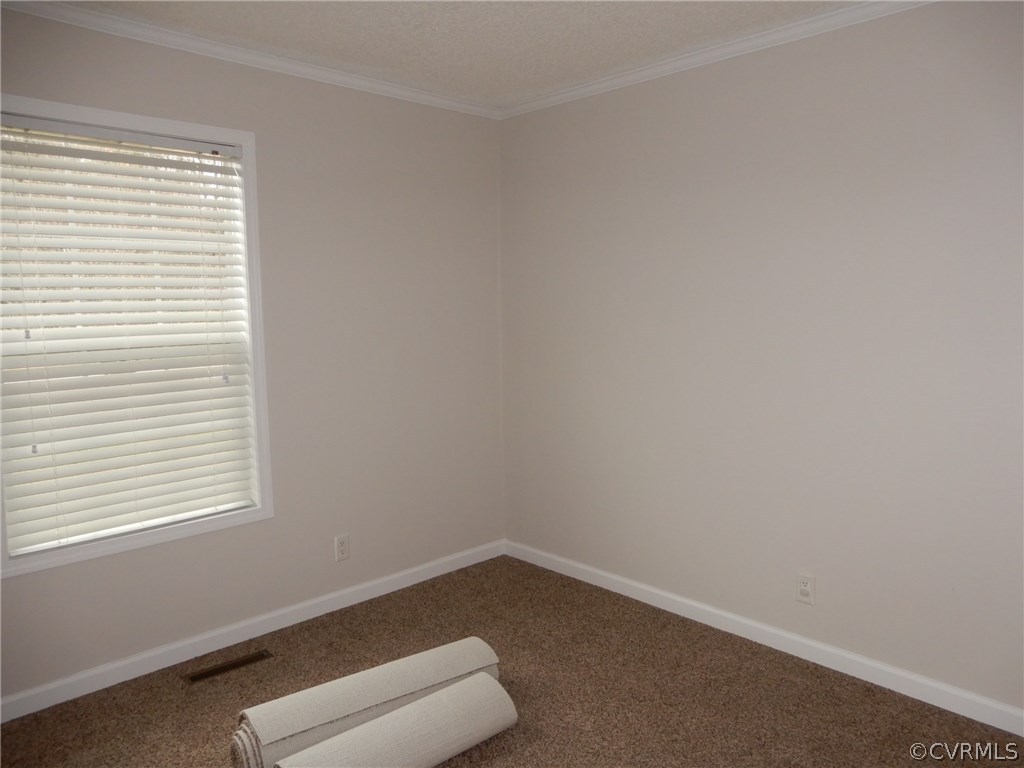 321 Centerville Road Shacklefords, VA 23156 - Photo 8 of 10 Bedroom 2 with generous sized closet