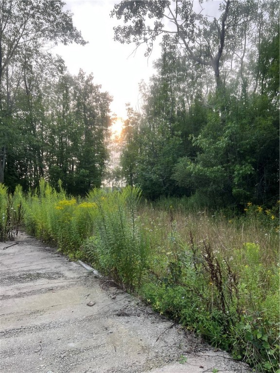 11159 Rosy Hill Road Prattsburgh, NY 14873 - Photo 2 of 4