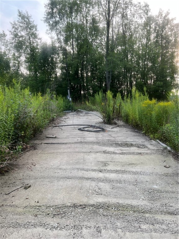 11159 Rosy Hill Road Prattsburgh, NY 14873 - Photo 3 of 4