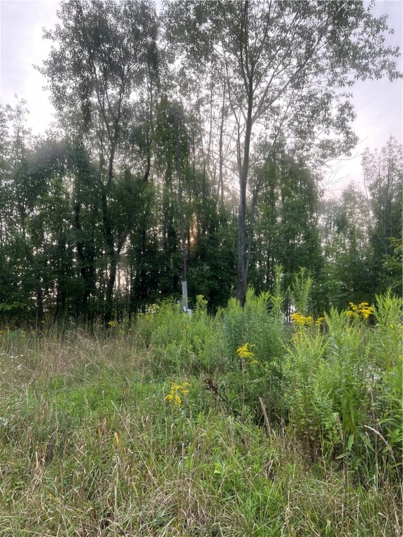 11159 Rosy Hill Road Prattsburgh, NY 14873 - Photo 4 of 4