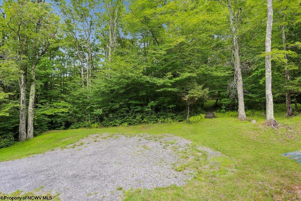 352 Ridge Road Davis, WV 26260 - Photo 43 of 47 Gallery Image 43