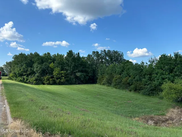 $2,200,000 | 0 Boyce Thompson Drive, Brandon, MS 39042