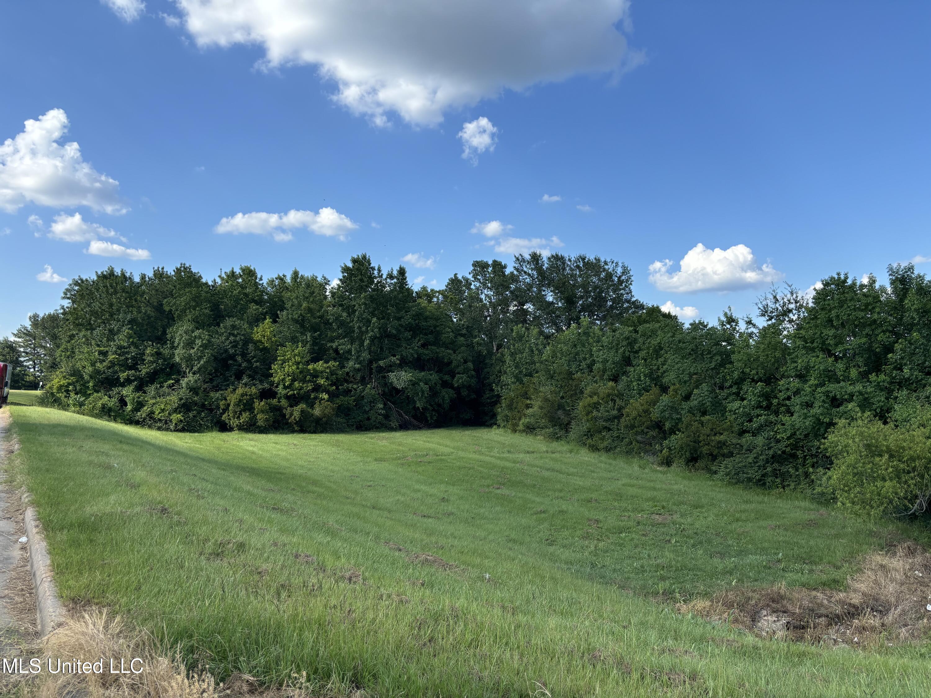 0 Boyce Thompson Drive Brandon, MS 39042 - Photo 9 of 14 Brandon_7