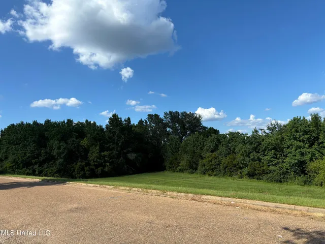 $2,200,000 | 0 Boyce Thompson Drive, Brandon, MS 39042