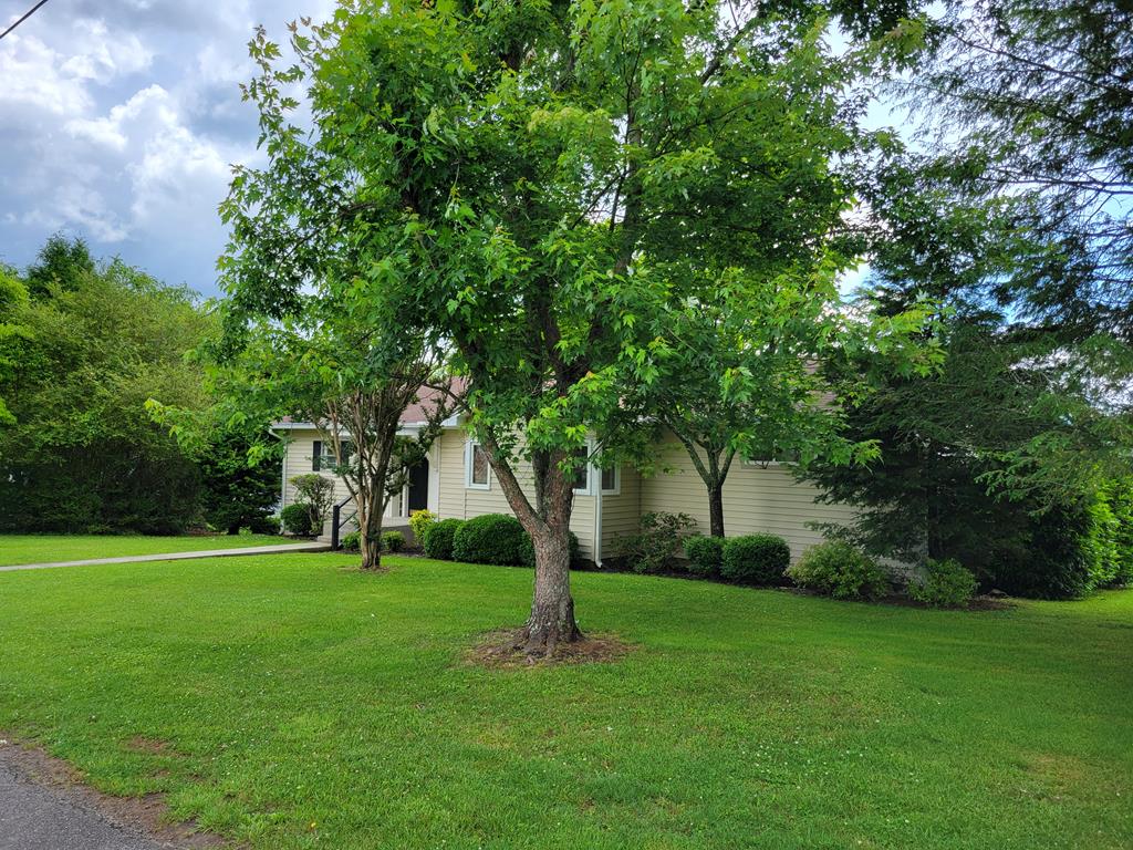 176 Riverside Drive Hayesville, NC 28904 - Photo 25 of 25