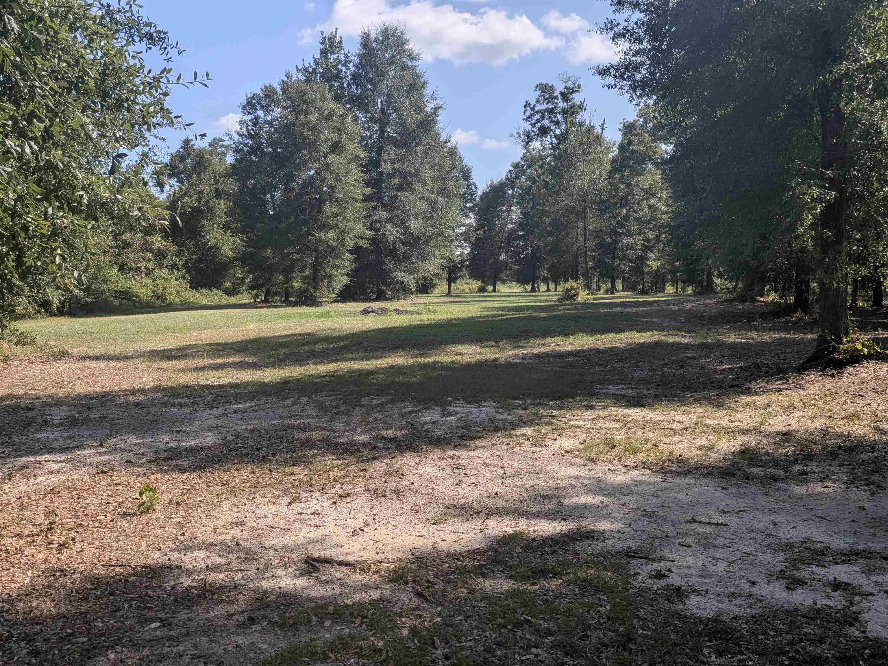 5671 Fort Road Greenwood, FL 32443 - Photo 60 of 67 Gallery Image 60