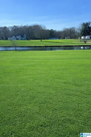 $23,995 | Lot 10 County Road 429, Unit 10, Clanton, AL 35045