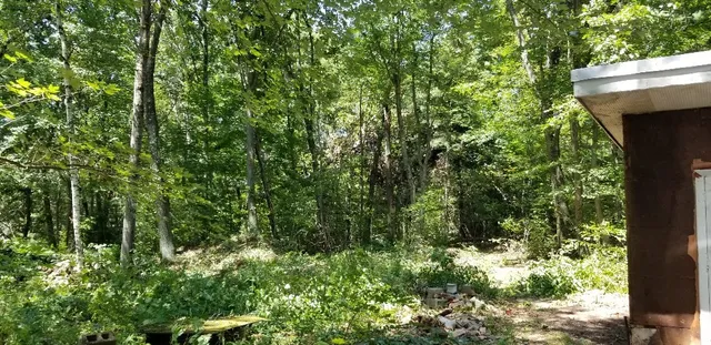 a view of a house with a tree