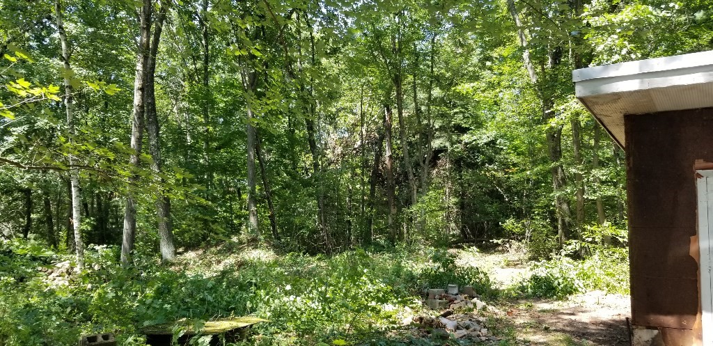 0 Nash Hill Road Ludlow, MA 01056 - Photo 5 of 6 a view of a house with a tree