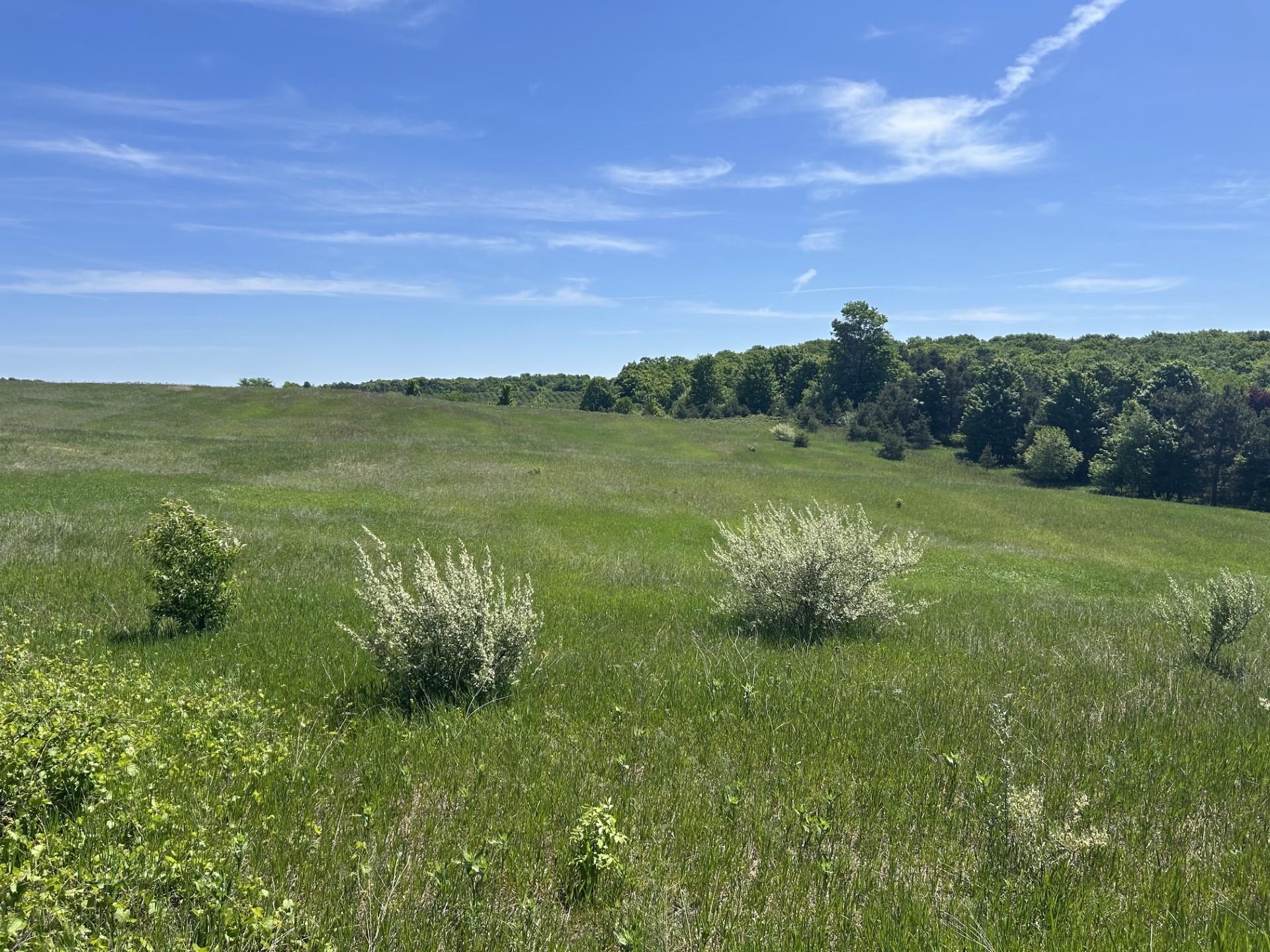 0 South Maple Valley Road Suttons Bay, MI 49682 - Photo 5 of 9