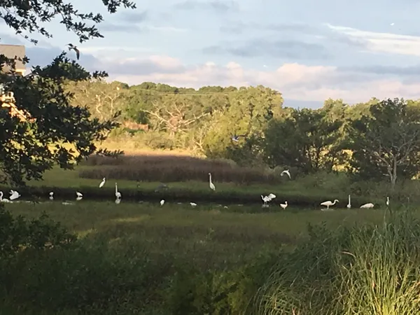 $4,250 | 1626 Teal Marsh Road, Unit A, Charleston, SC 29412