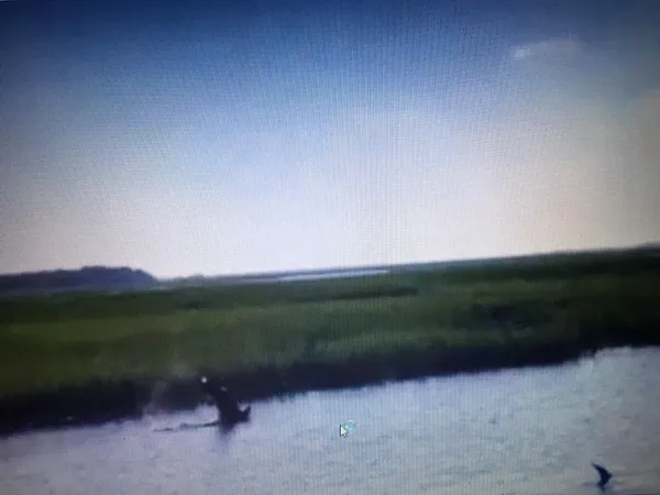 $4,250 | 1626 Teal Marsh Road, Unit A, Charleston, SC 29412