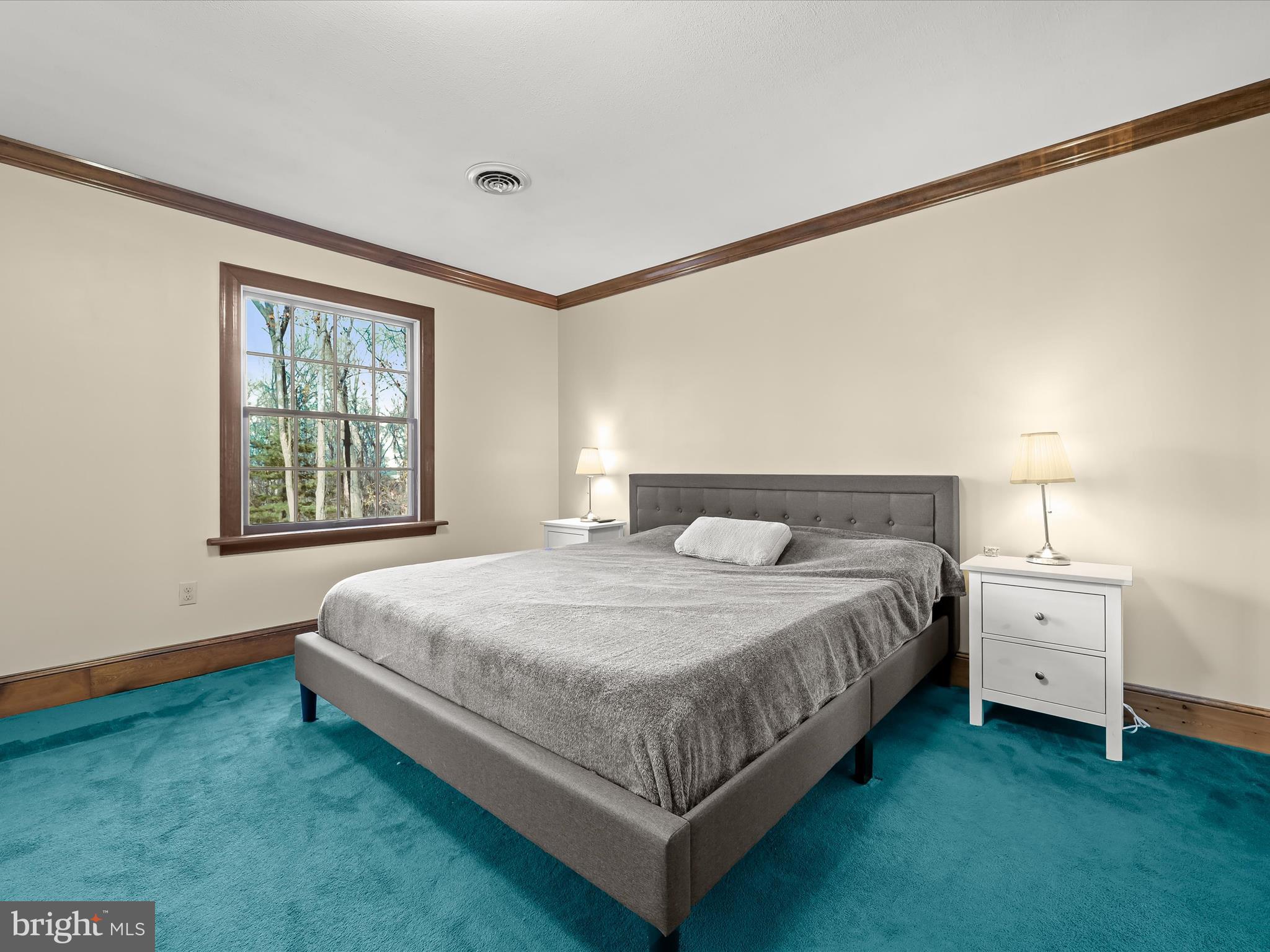 1081 Beggs Road Westminster, MD 21157 - Photo 29 of 58 Primary Bedroom