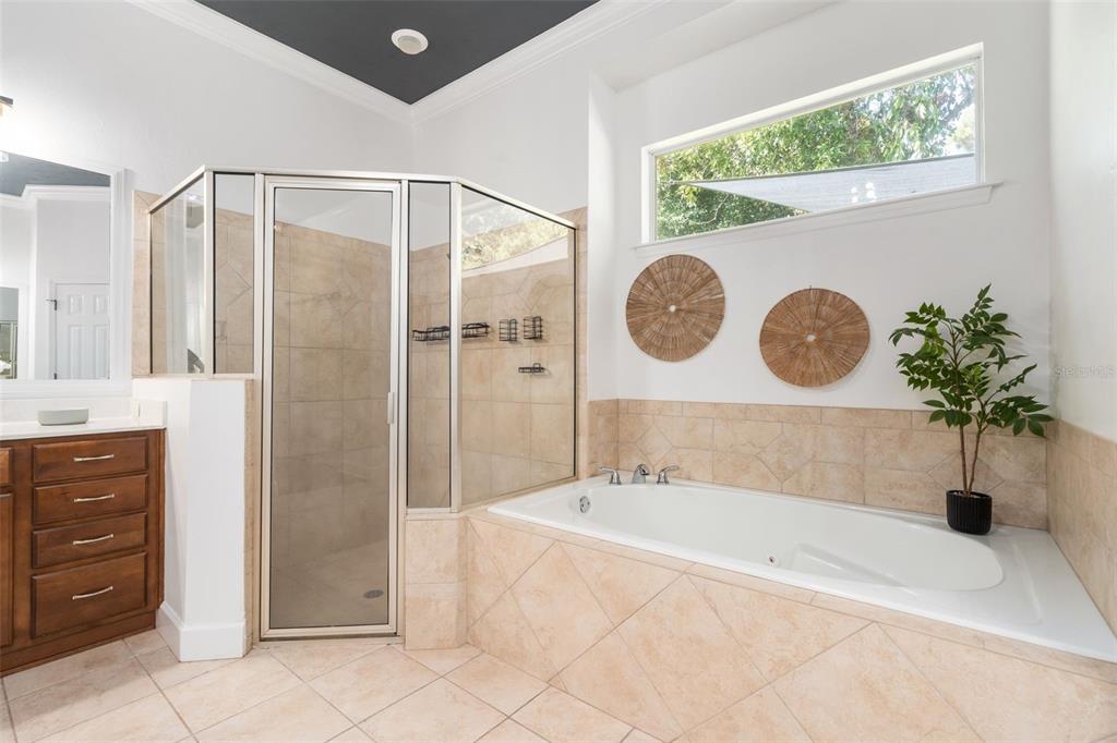 6326 Southwest 90th Street Gainesville, FL 32608 - Photo 22 of 44 a bathroom with a tub a potted plant and a shower