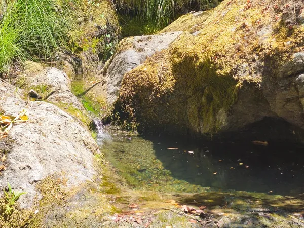 a view of swimming pool from a yard