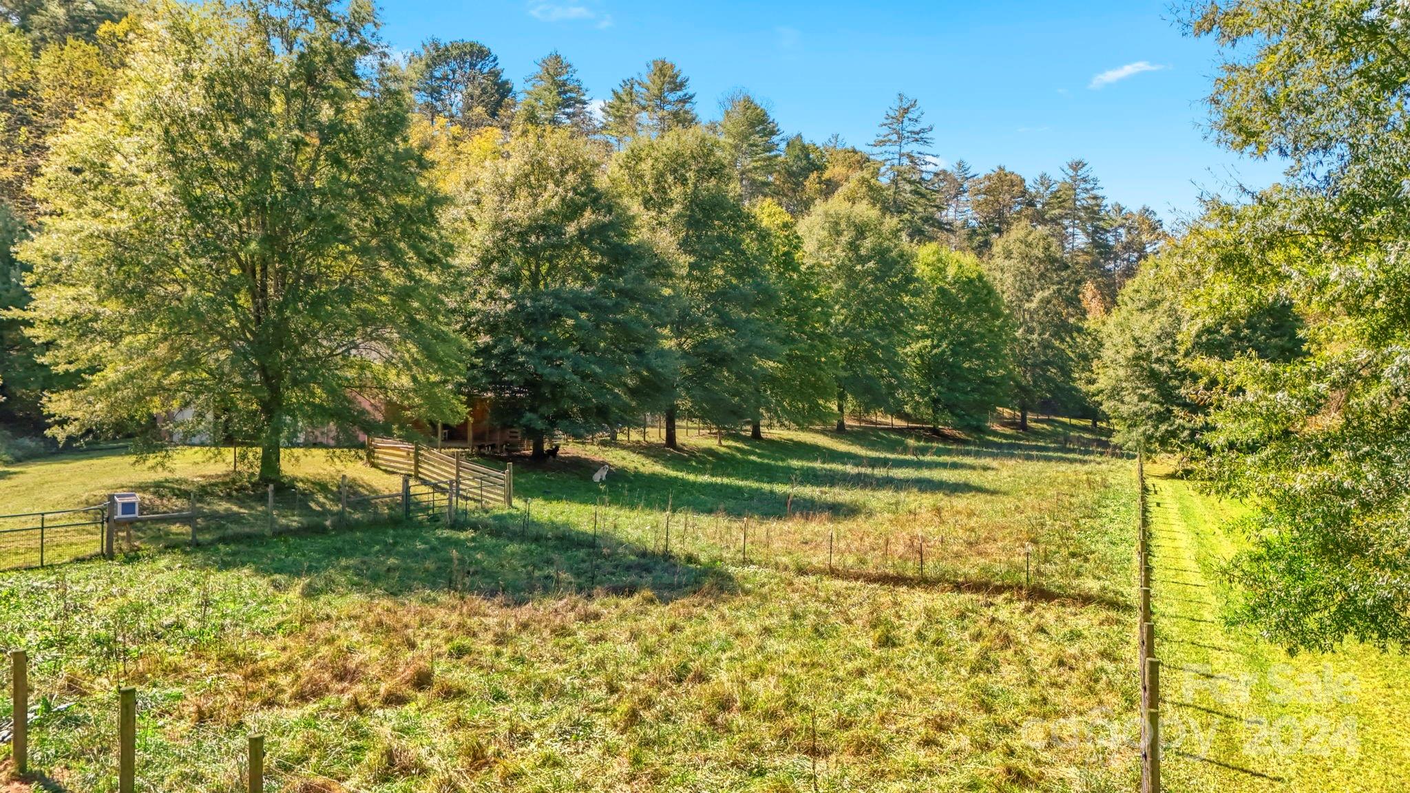 3409 Collettsville Road Lenoir, NC 28645 - Photo 46 of 48 a view of a yard with trees