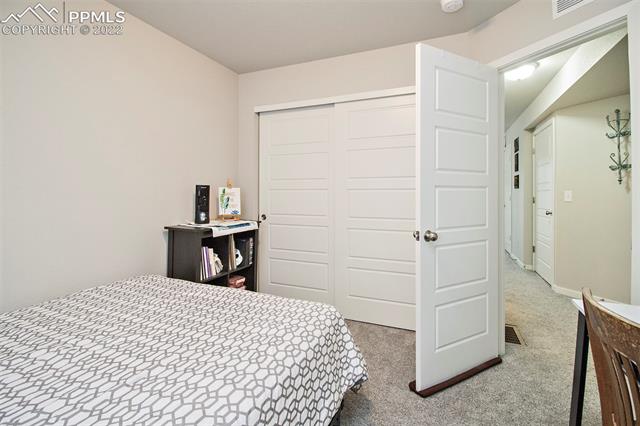 9570 Timberlake Loop Colorado Springs, CO 80927 - Photo 30 of 36 Lower level bedroom