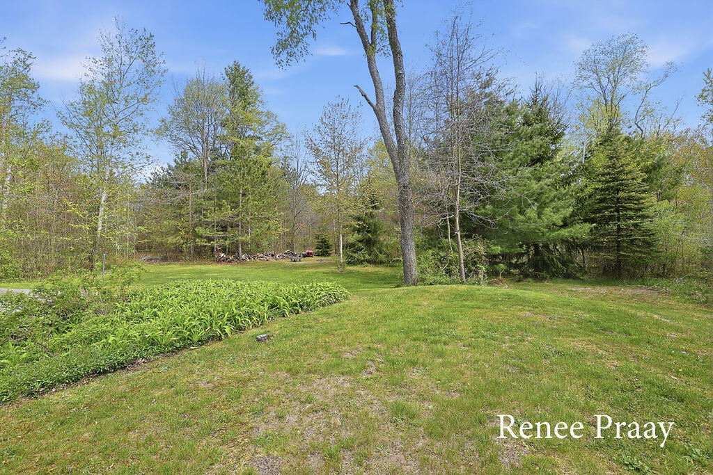 2950 Todd Road Whitehall, MI 49461 - Photo 26 of 33 IMG_1415