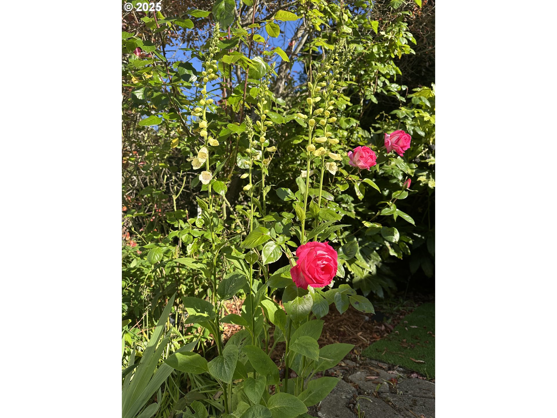 1400 Candlelight Drive, Unit 99 Eugene, OR 97402 - Photo 12 of 14