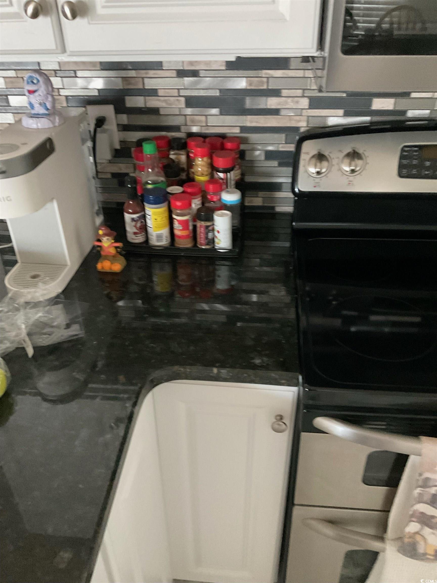 1672 Ursa Minor Drive Myrtle Beach, SC 29575 - Photo 11 of 40