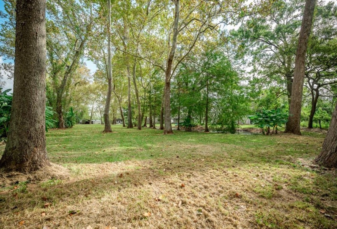 464 River Road Angleton, TX 77515 - Photo 29 of 45 a view of a field with trees in the background