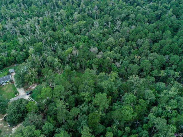 $205,000 | Tbd Pinkney Lane, Walker, LA 70785