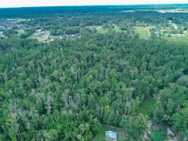 $205,000 | Tbd Pinkney Lane, Walker, LA 70785