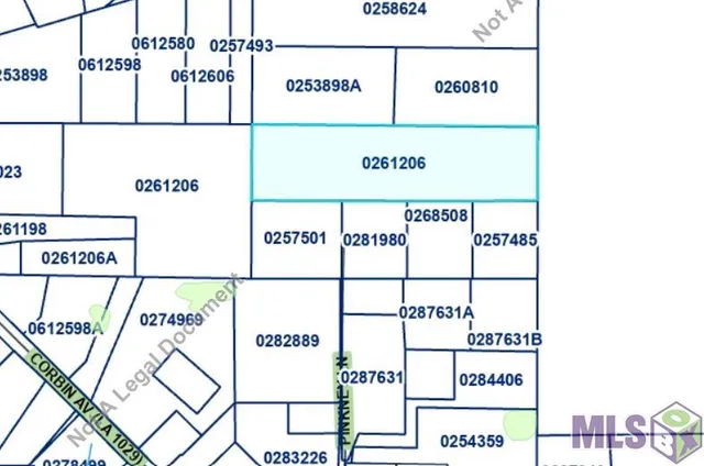 $205,000 | Tbd Pinkney Lane, Walker, LA 70785