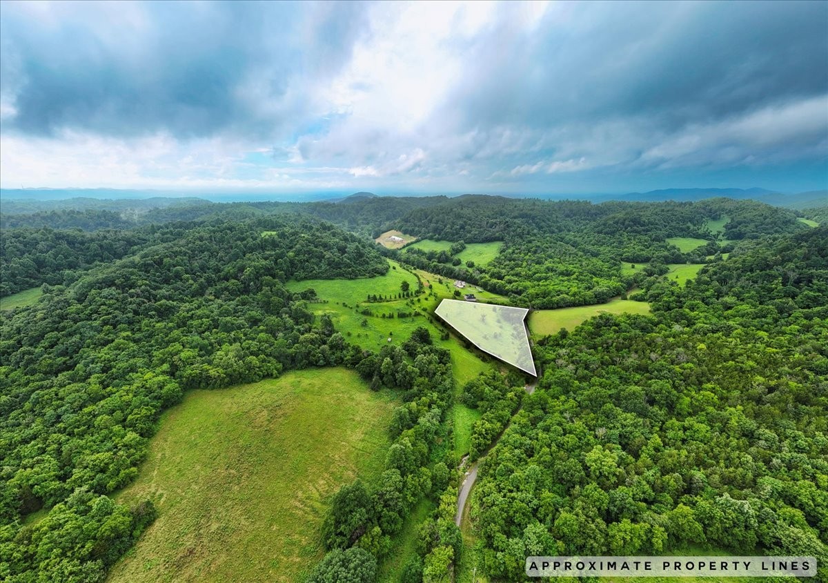 0 Opossum Paw Road Beechgrove, TN 37018 - Photo 2 of 5