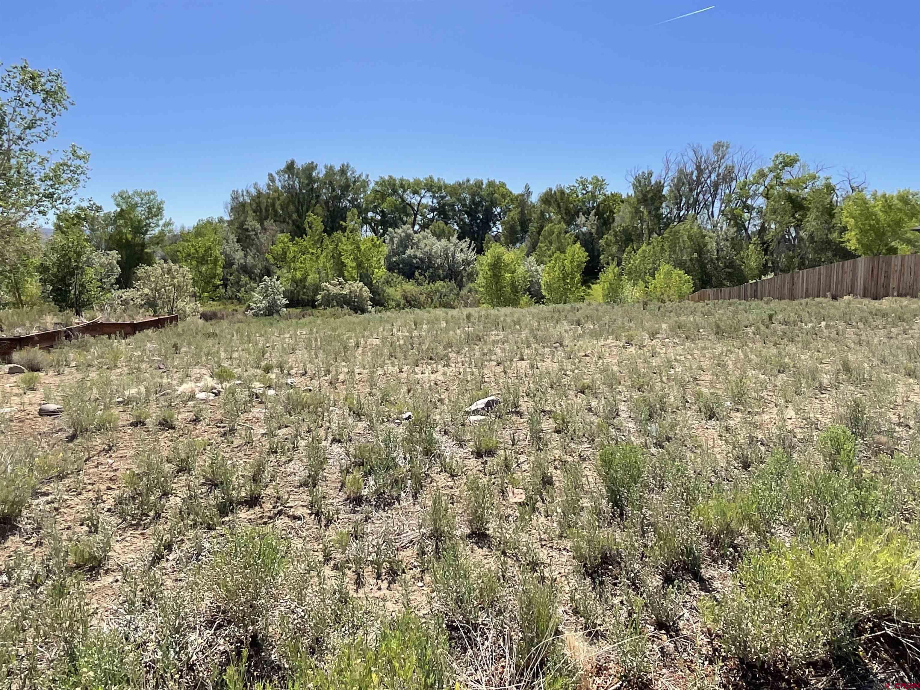 Lot 18 Crestview Drive Montrose, CO 81403 - Photo 3 of 6 a view of a yard with a tree